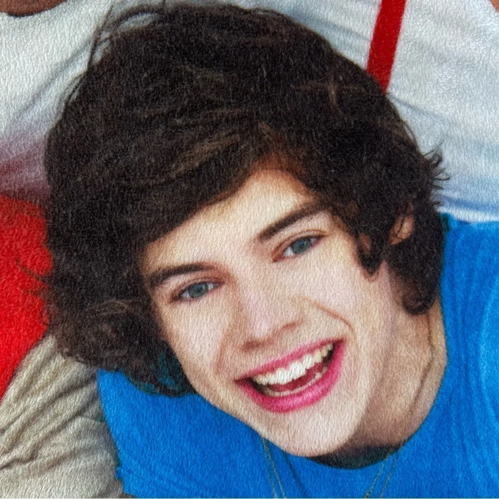 One Direction 1D Minky Plush Pillowcase 2013 Global Harry Liam Zayn Niall Louis
